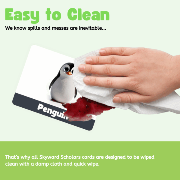 Letters, Numbers, Colors, Shapes & Animals Flashcards - Image 9