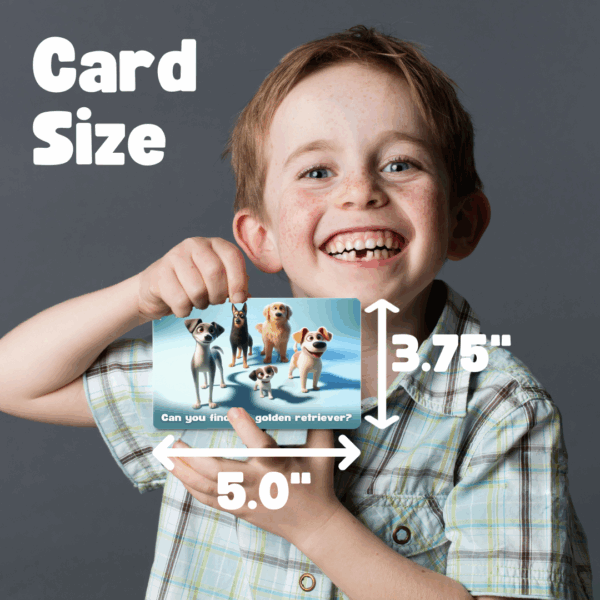 Letters, Numbers, Colors, Shapes & Animals Flashcards - Image 3